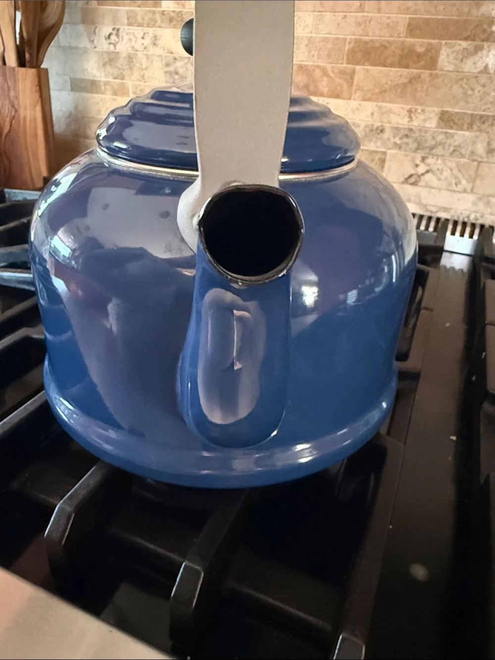Le Creuset blue Whistling Teakettle with Soft-Grip Handle